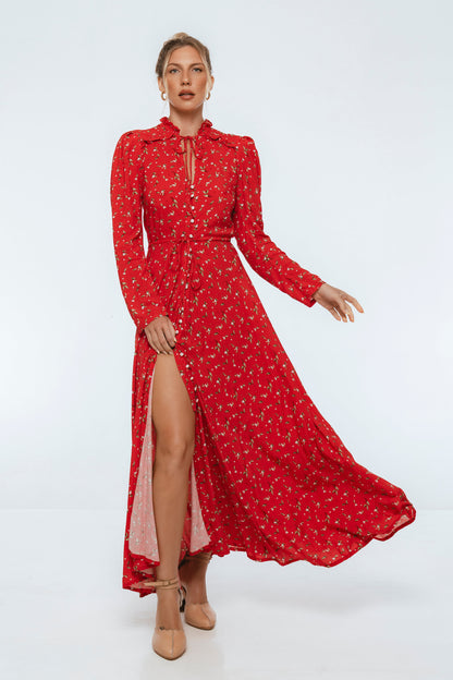 Poeme Long Sleeve Maxi Dress-6