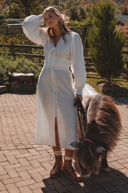 Velvet Sky Long Sleeve Linen Midi Dress-4