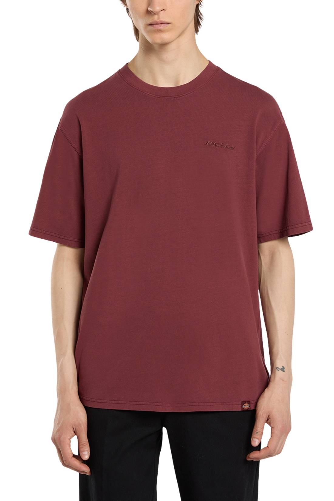 DICKIES - Men's Plentywood T-shirt