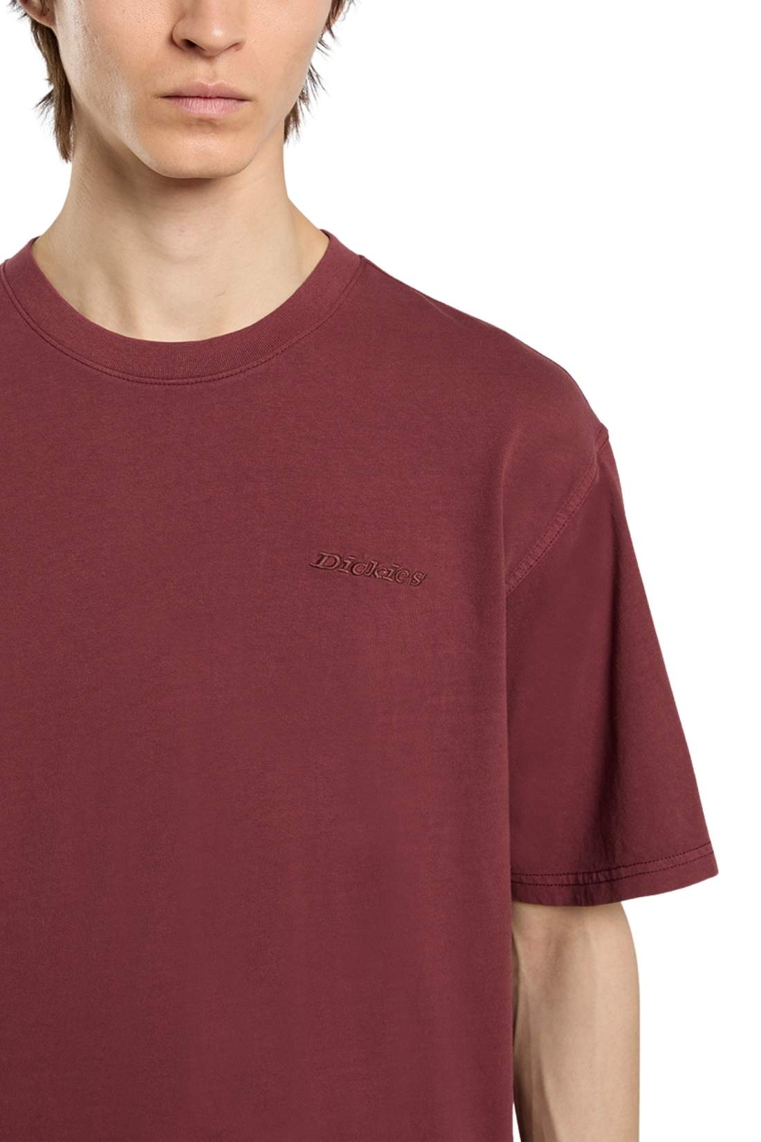 DICKIES - Men's Plentywood T-shirt