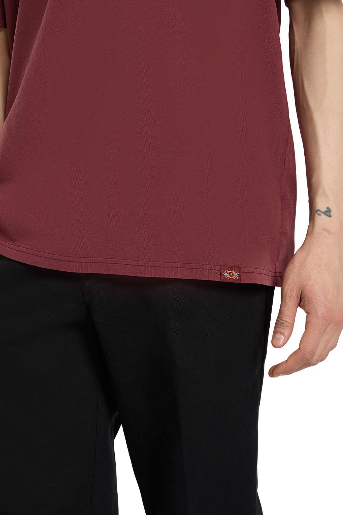 DICKIES - Men's Plentywood T-shirt