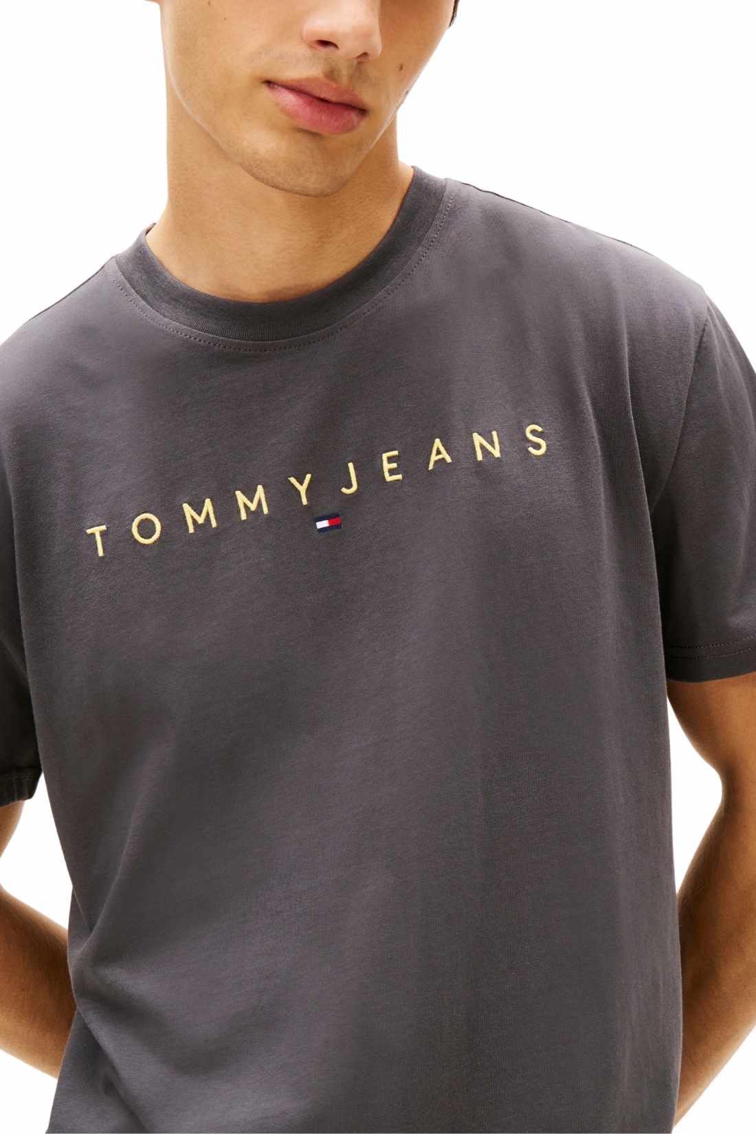 TOMMY JEANS - Men's T-shirt with linear logo